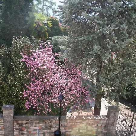 Irene - Casa Centro أسكونا