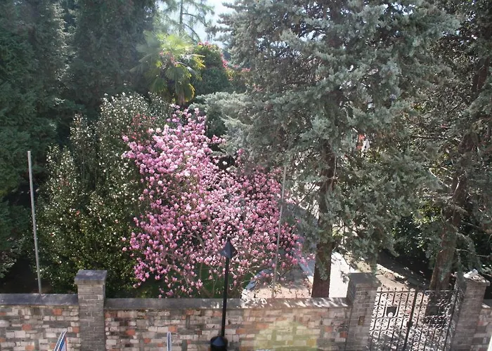 Irene - Casa Centro Ascona